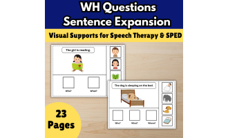 Speech Therapy WH Questions ,Visual Choices Sentence Expansion