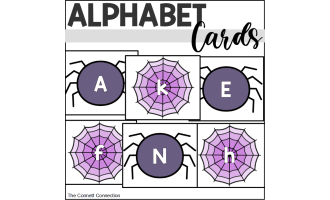 Spider Alphabet Cards