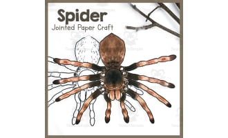 Spider | Jointed Animal Craft | Articulated Craft