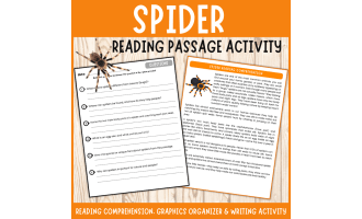 Spider reading passage comprehension questions graphics organizers