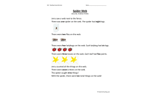 Spider Web Reading Comprehension Worksheet