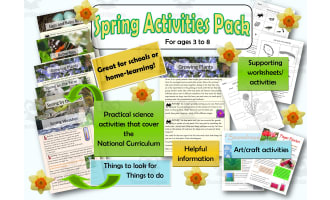 Spring Kindergarten Science Projects