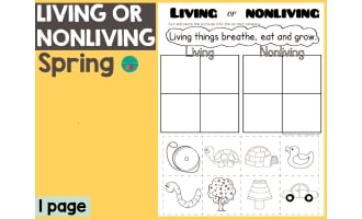 Spring - Living or NonLiving