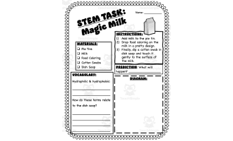 STEM Task: Magic Milk