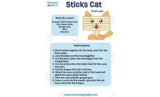 Sticks Cat Activity