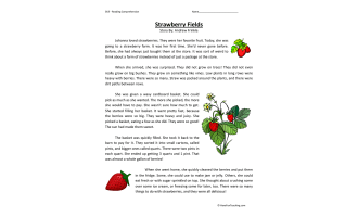 Strawberry Fields Reading Comprehension Worksheet