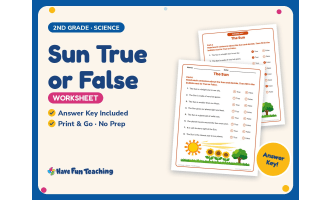 Sun True or False Worksheet – 2nd Grade Space Practice + Answer Key