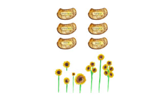 Sunflower Sorting Activity