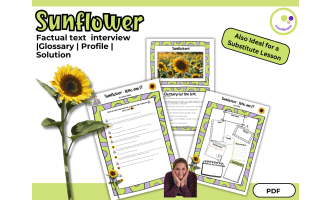 Sunflowers – Factual Interview Text, Glossary & Student Profile