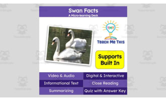 Swan Facts | Interactive Science Lesson | Micro-Learning Deck