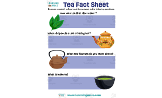 Tea Activity