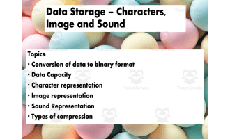 Teaching Presentation - Data Storage - Characters, Image & Sound