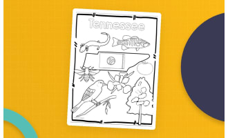 Tennessee State Symbols Clip Art