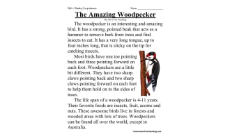 The Amazing Woodpecker Reading Comprehension Worksheet