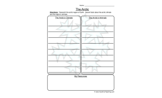 The Arctic Worksheet