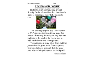 The Balloon Popper Reading Comprehension Worksheet