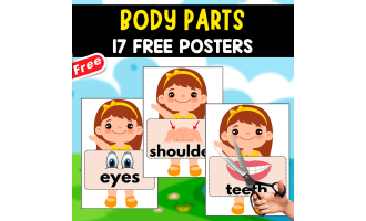 THE BODY PARTS | 17 FREE POSTERS + IMAGES