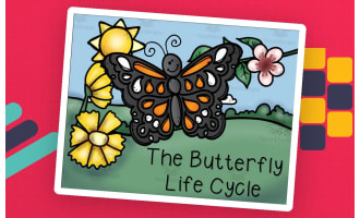 The Butterfly Life Cycle
