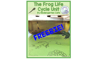 The Frog Life Cycle Unit - Tadpole Cut and Paste