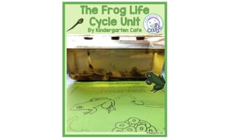 The Frog Life Cycle Unit