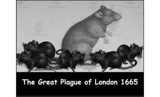 The Great Plague 1665 Unit Plan + PowerPoint