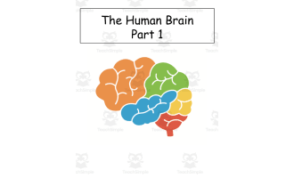 The Human Brain-Includes Kahoot, Smart Cookie Game and a Hands-On Activity About the Brain