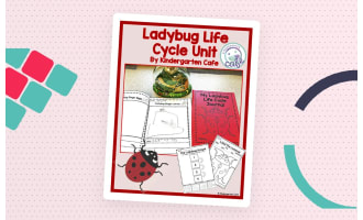 The Ladybug Life Cycle Journal