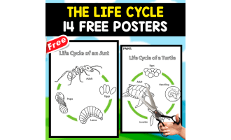 THE LIFE CYCLE | 14 FREE POSTERS