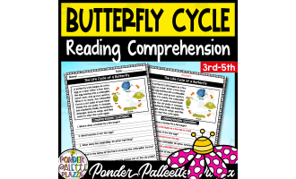 The Life Cycle of a Butterfly - Reading Comprehension + Answers