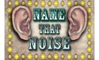 The "Name That Noise!" Game