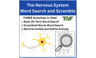 The Nervous System Word Search and Scramble Activity