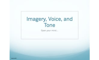 The Storyteller: Full Lesson Plan w/ PowerPoints & Graphic Organizers