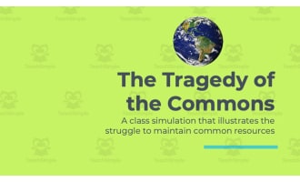 The Tragedy of the Commons Simulation