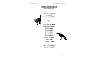 Things that are Black Reading Comprehension Worksheet