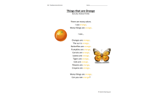 Things that are Orange Reading Comprehension Worksheet