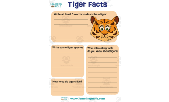 Tiger Activity