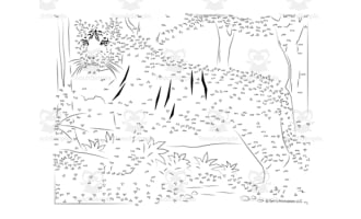 Tiger Extreme Connect the Dots / Dot-to-Dot PDF