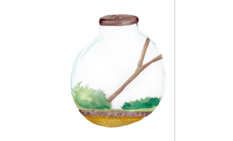 Toadstool Terrarium Activity