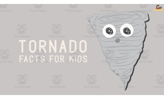 Tornado Facts | Animated Weather Video Lesson