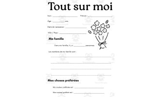 Tout sur moi - all about me french worksheet