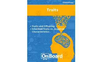 Traits | Academic Workbook