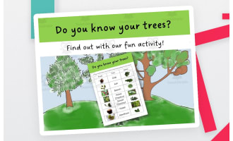 Tree ID Activity – Identify Common Trees Game