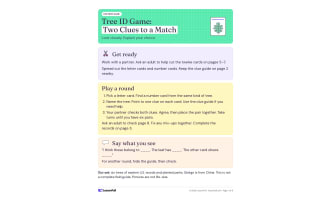 Tree ID Activity – Identify Common Trees Game