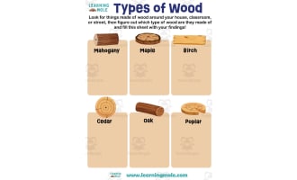 Types of Wood Activity