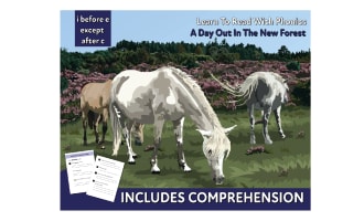 Close Reading Comprehension 'A Day Out At The Forest' (4-8 years)