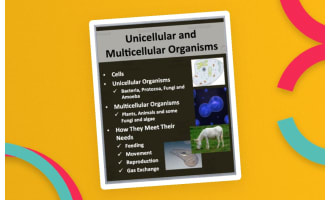 Unicellular & Multicellular Organisms – PowerPoint