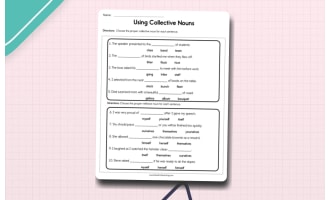 Using Collective Nouns Worksheet