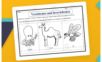 Vertebrates vs Invertebrates Sorting Worksheet