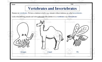 Vertebrates and Invertebrates Worksheet