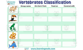Vertebrates Classification Activity